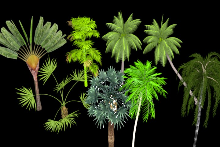Tropical Trees preview image 1